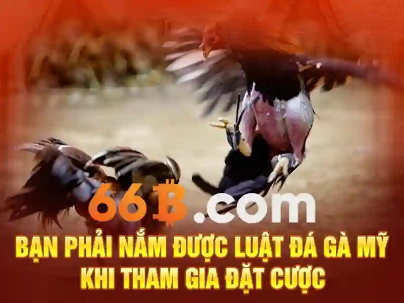 Chương Trình Khuyến Mãi Độc Quyền Cho Thành Viên 66B