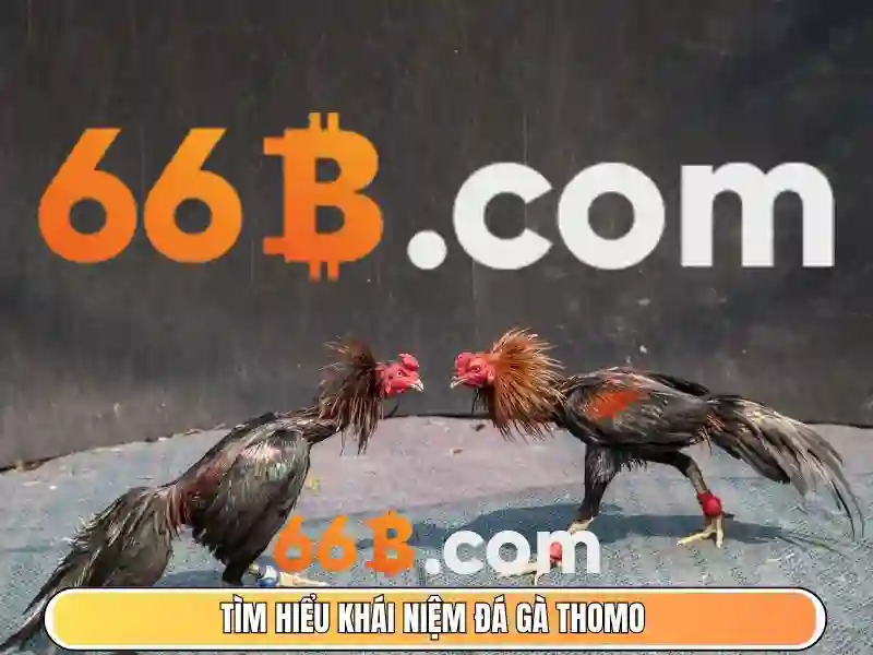 Lý do chọn bắn cá 66B