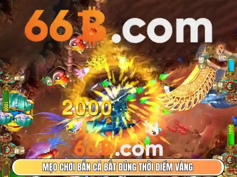 ưu đãi 66B