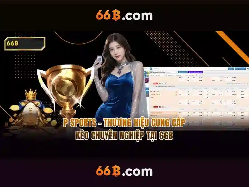 Hỗ Trợ 66B – Trải Nghiệm Người Chơi