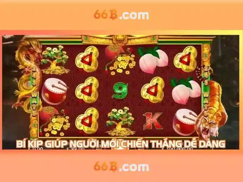 Giới Thiệu 66B