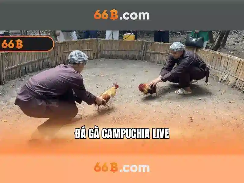66B – Link Tải 66B APK Chính Thức, Trải Nghiệm Slot Đỉnh Cao 2026