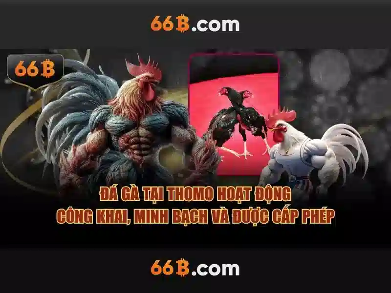 HƯỚNG DẪN 66B