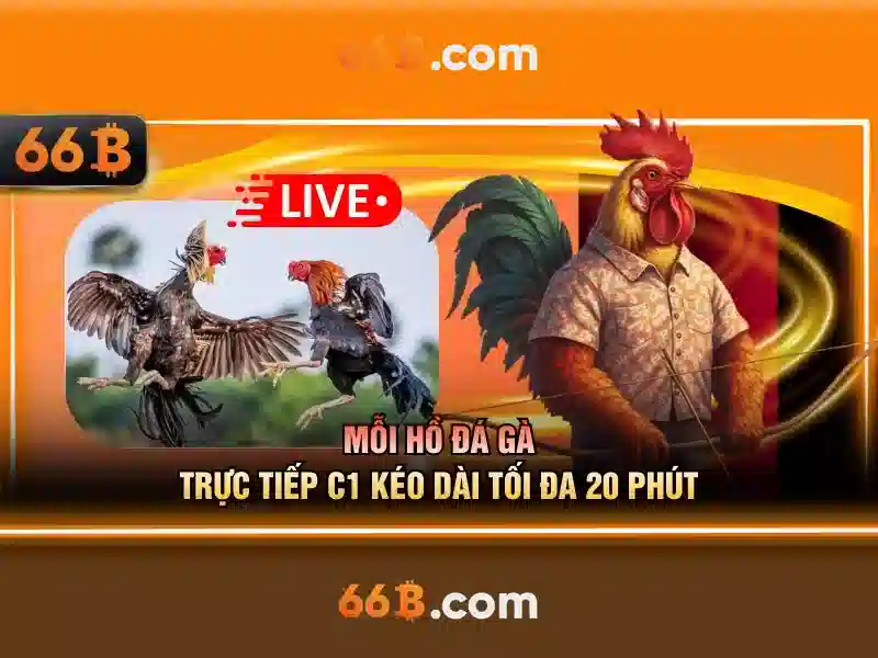 Đa dạng loại hình Slot 66B uy tín không