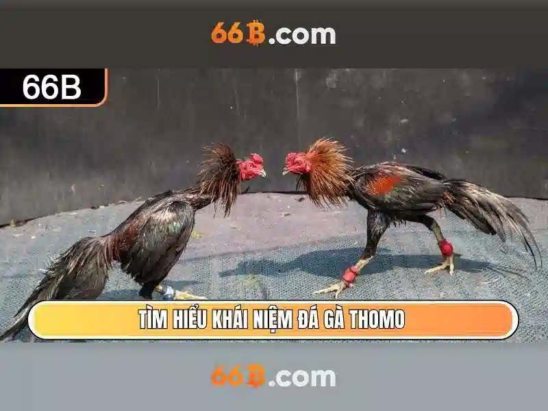 66b ios – Giao Diện Đa Năng Cho Người Chơi