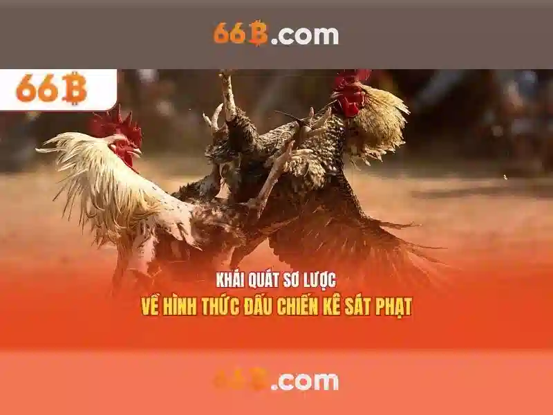 Khám Phá Cờ Tướng 66B
