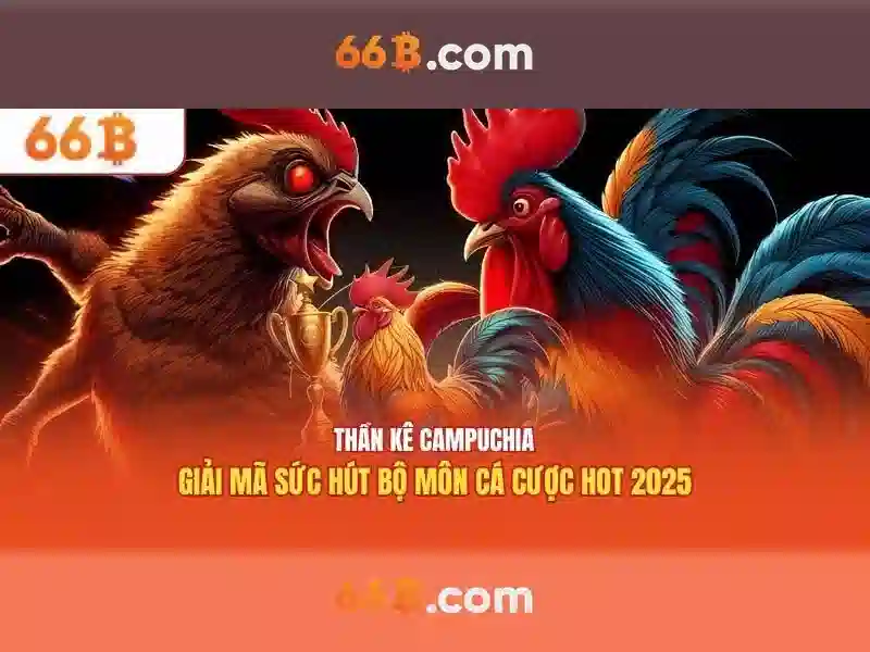 66B – Nền Tảng Uy Tín Được Tin Chọn