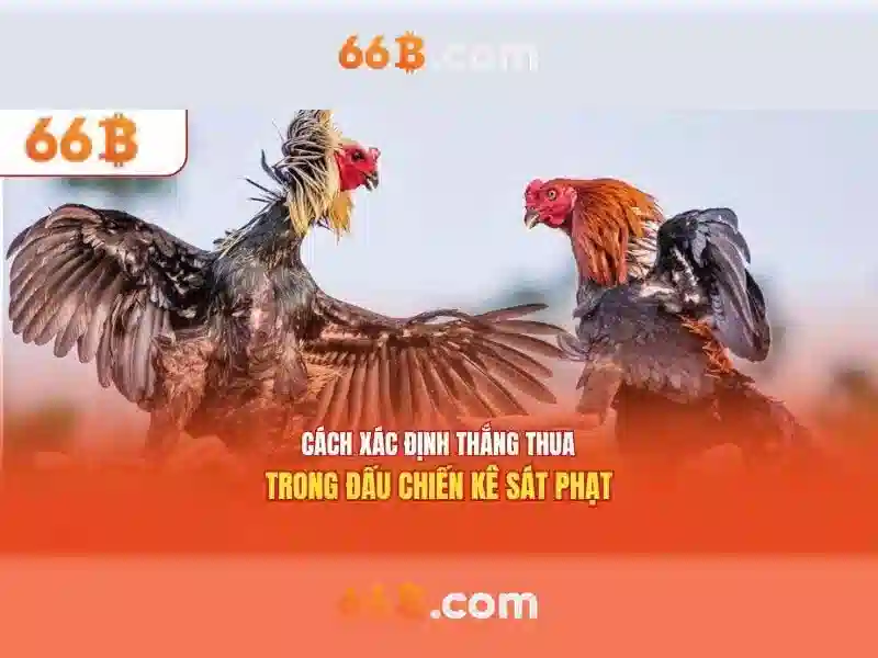 Bảo vệ quyền riêng tư 66B