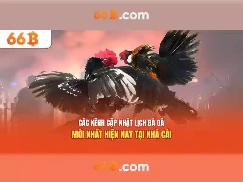 slot 66b