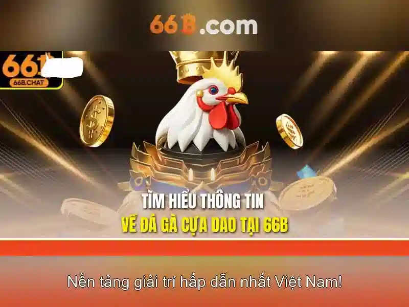 giao dịch 66B an toàn