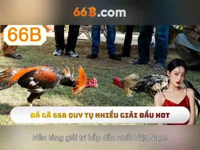 khuyến mãi 66B