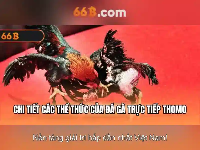 Quy trình đăng nhập 66b