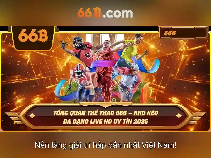 Hỗ Trợ 66B