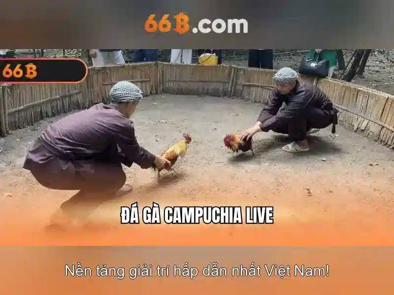 Hướng Dẫn Đăng Ký 66B