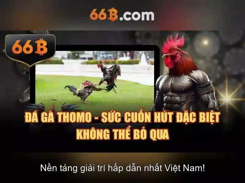Giao Diện 66B