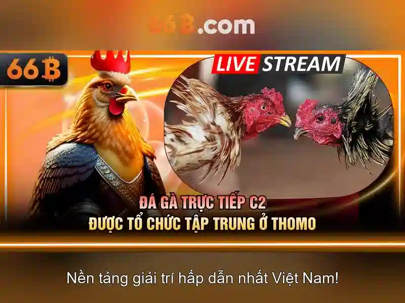 Phỏm Online – Xu Hướng Giải Trí Hiện Đại
