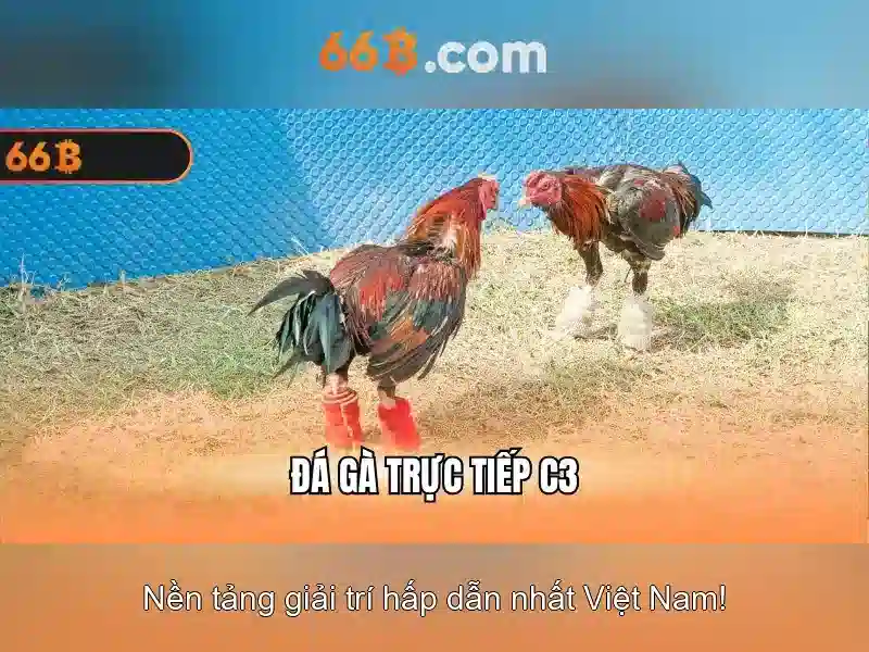 Đăng Nhập 66B – Trang Đăng Nhập Chính Thức Cho Người Dùng Slot 2026