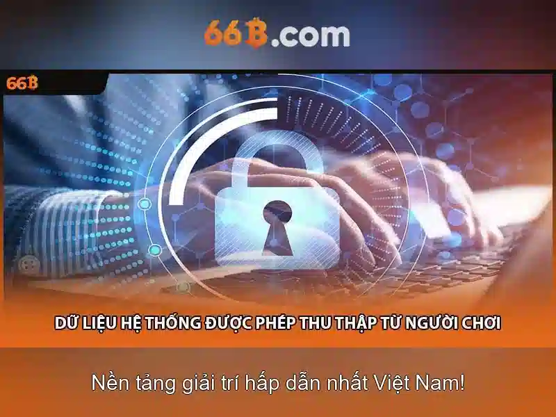 Quy Trình Đăng Ký 66B