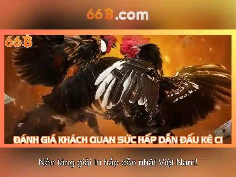 Hướng Dẫn Nhập Code 66B