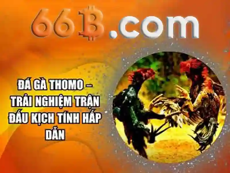 66B 66b12 Link Vào 66b Mới Nhất 2026