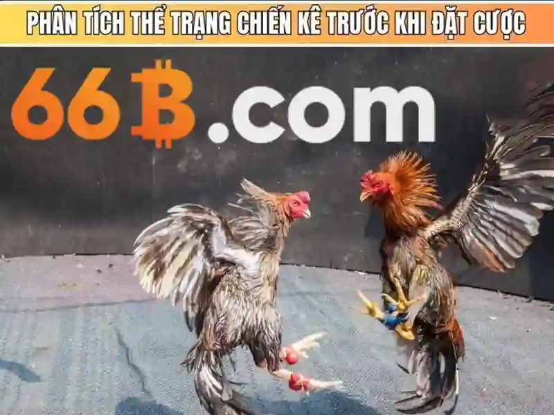 Đa Dạng Sảnh Chơi Slot Tại 66B