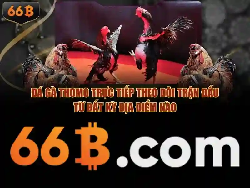 Bắn Cá 66B