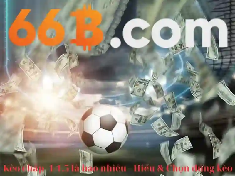 66B – Hỗ Trợ 66B 24/7 | Dịch Vụ Hỗ Trợ Slot Uy Tín 2026