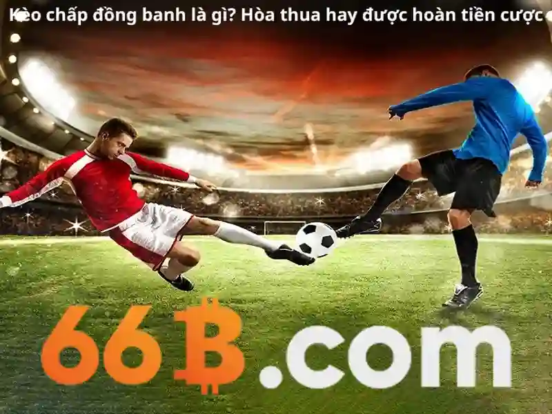 Tài Khoản 66B