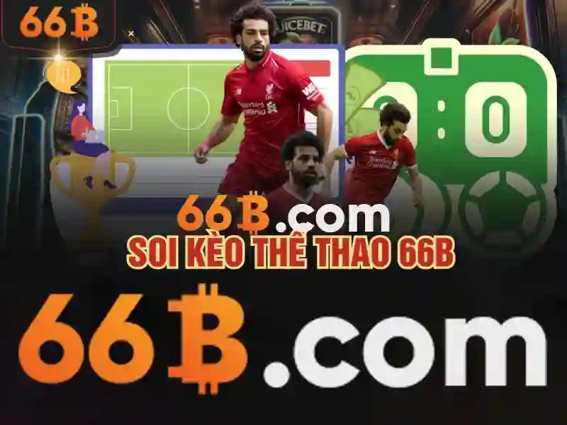Chính sách bảo mật 66B